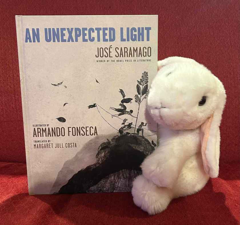 Marshmallow reviews An Unexpected Light,  written by José Saramago, translated by Margaret Jull Costa, and illustrated by Armando Fonseca. 