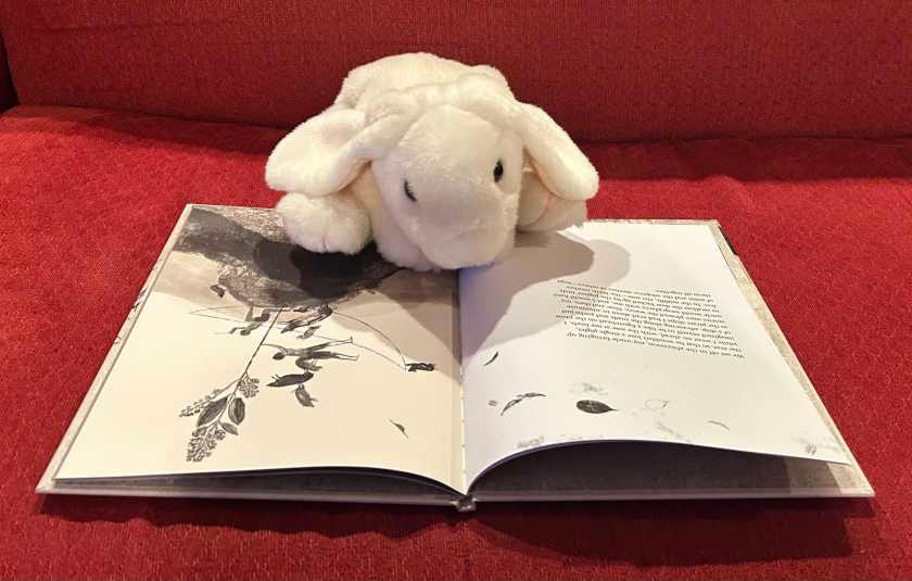 Marshmallow is reading An Unexpected Light,  written by José Saramago, translated by Margaret Jull Costa, and illustrated by Armando Fonseca. 