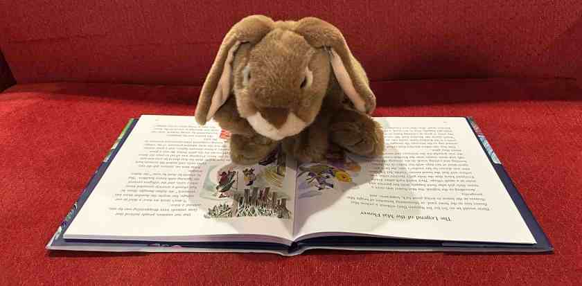 Caramel is reading Vietnamese Children's Favorite Stories, retold by Tran Thi Minh Phuoc and illustrated by Nguyen Thi Hop and Nguyen Dong.