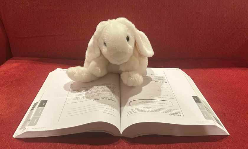 Marshmallow is reading the Digital SAT Manual (Version 8.0) by The Princeton Review.