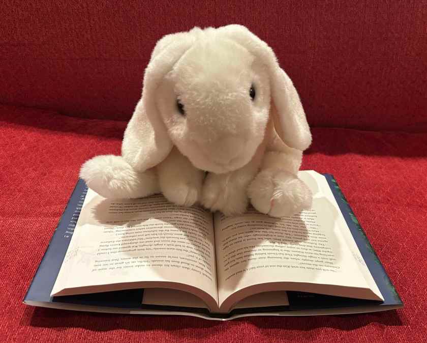 Marshmallow is reading Fearful by Lauren Roberts.