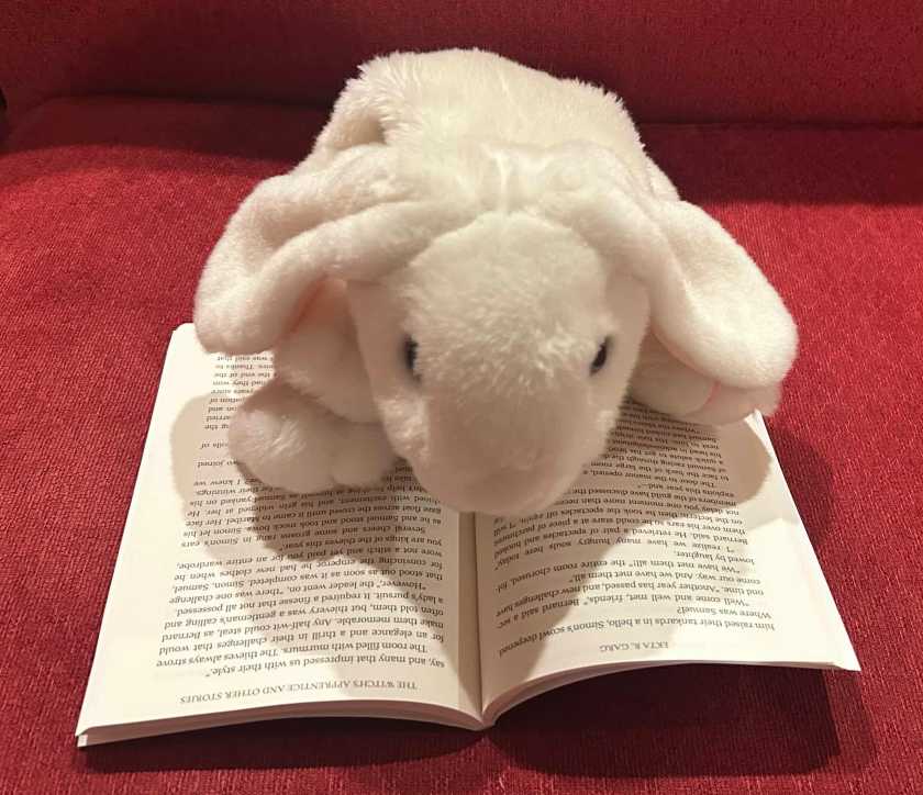 Marshmallow is reading The Witch's Apprentice and Other Stories by Ekta R. Garg.