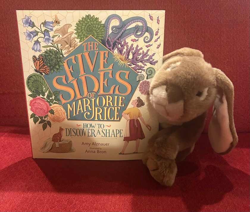 Caramel enjoyed reading The Five Sides of Marjorie Rice: How to Discover a Shape, written by Amy Alznauer and illustrated by Anna Bron, and is now looking around himself to see if he can find new hexagons.