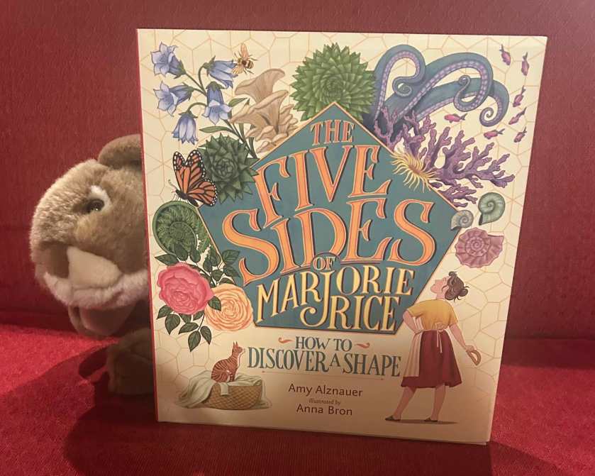 Caramel reviews The Five Sides of Marjorie Rice: How to Discover a Shape, written by Amy Alznauer and illustrated by Anna Bron.