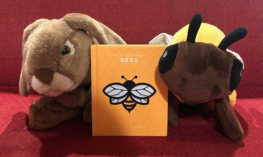 Caramel and Bee-positive the Bee loved reading The Little Book of Bees: Buzzy Wit and Wisdom by Sandra Lawrence together and recommend it to all other little bunny friends! 