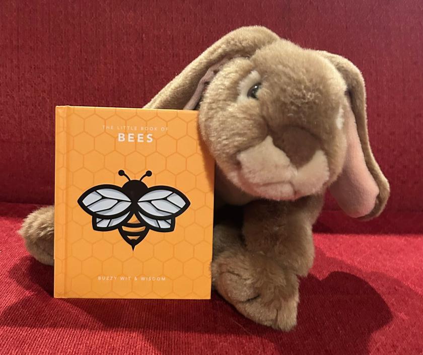 Caramel reviews The Little Book of Bees: Buzzy Wit and Wisdom by Sandra Lawrence.