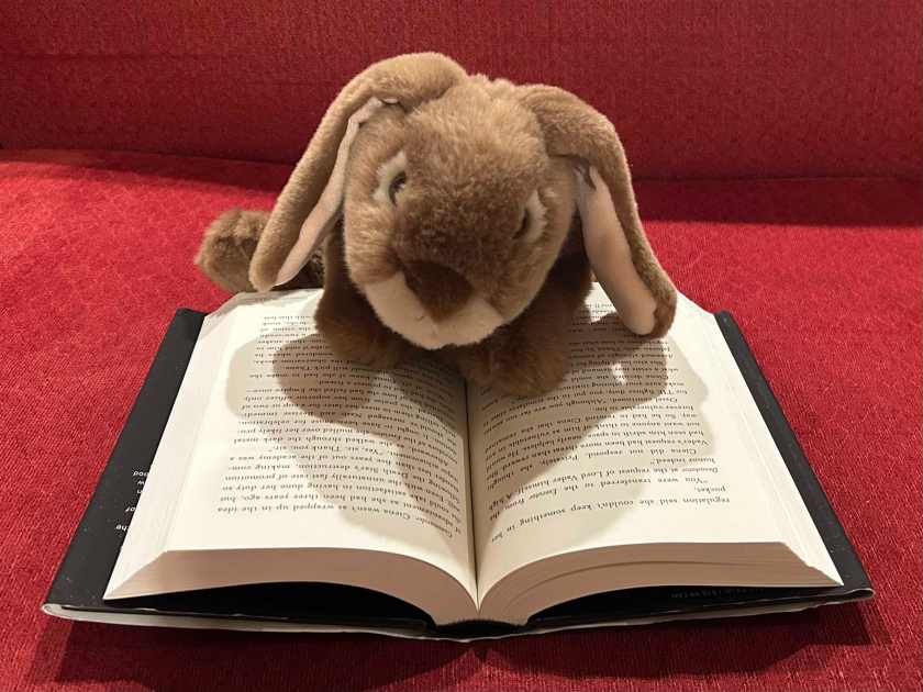 Caramel is reading Star Wars: Lost Stars by Claudia Gray.