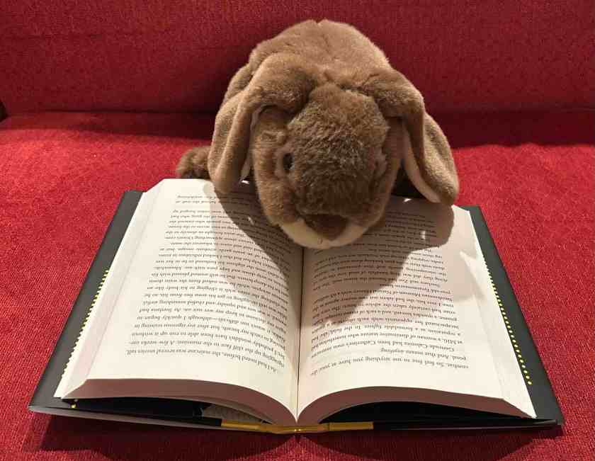 Caramel is reading Spy School Blackout by Stuart Gibbs.