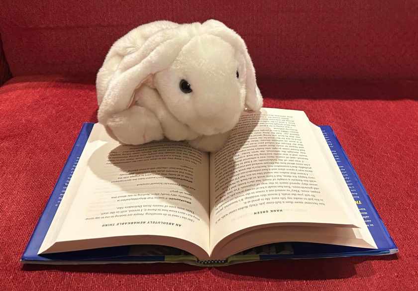 Marshmallow is reading An Absolutely Remarkable Thing by Hank Green.