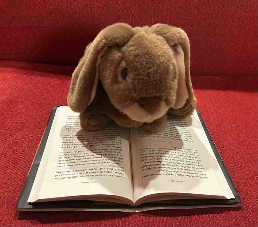 Caramel is reading Artificial Condition: The Murderbot Diaries by Martha Wells.