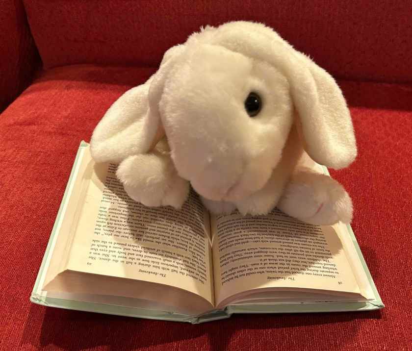 Marshmallow is reading The Awakening by Kate Chopin.