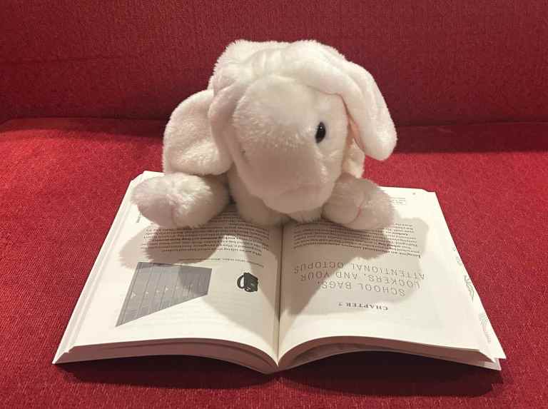 marshmallow-reviews-learning-how-to-learn-how-to-succeed-in-school