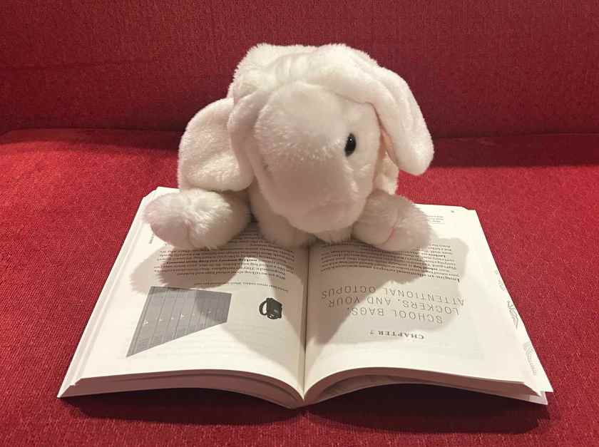 Marshmallow is reading Learning How to Learn: How to Succeed in School Without Spending All Your Time Studying (A Guide for Kids and Teens) by Barbara Oakley, Terrence Sejnowski, and Alistair McConville.