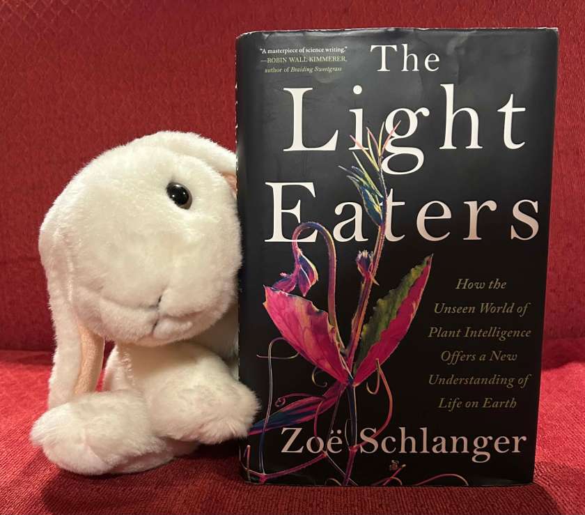 Marshmallow rates The Light Eaters by Zoë Schlanger 121%. 