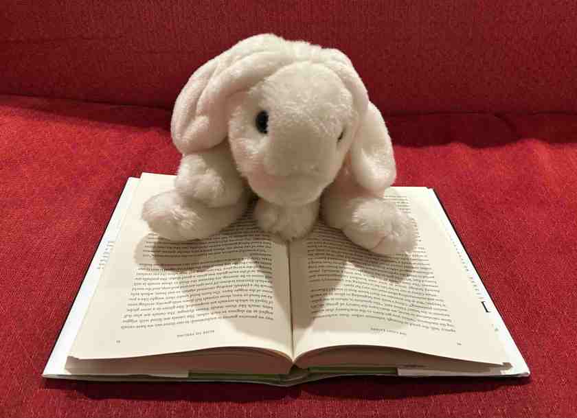 Marshmallow is reading The Light Eaters by Zoë Schlanger.