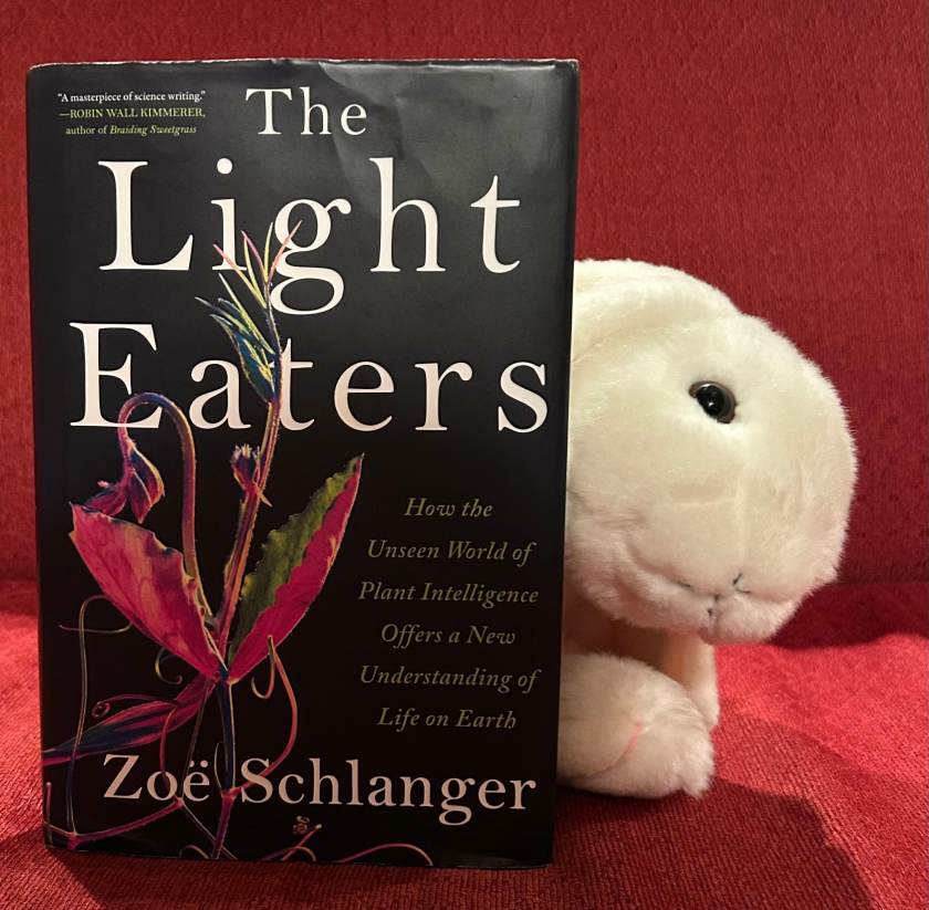 Marshmallow reviews The Light Eaters by Zoë Schlanger.