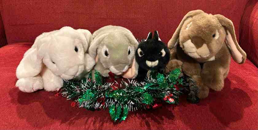 All four book bunnies, and Caramel's good friend Steve, wish all bunnies around the world a hoppy happy new year in 2026, with lots of good books and many friends, old and new!