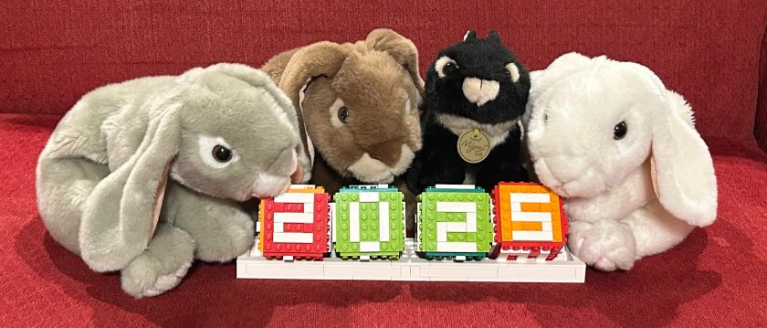 The book bunnies review the books of 2025.