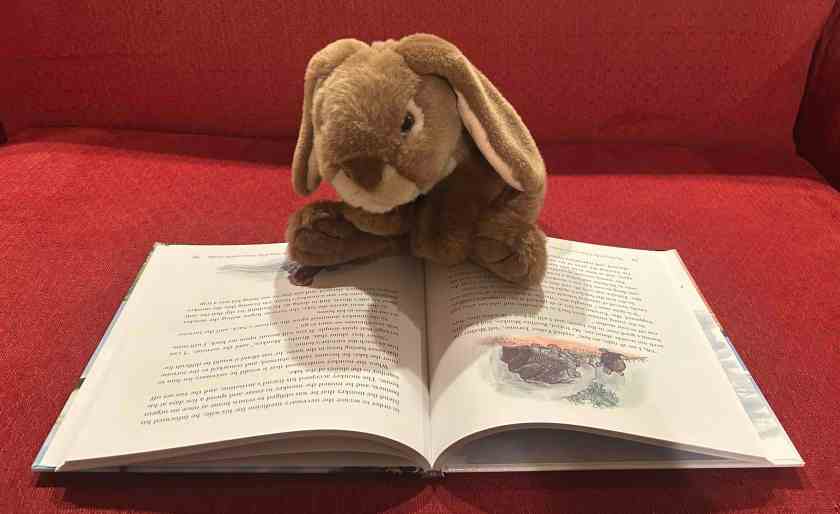 Caramel is reading Favorite Children’s Stories from China and Tibet, written by Lotta Carswell Hume and illustrated by Lo Koon-Chiu.