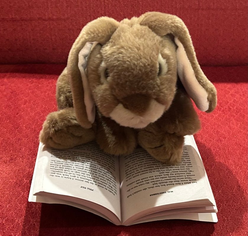 Caramel is reading Full Tilt by Neal Shusterman.