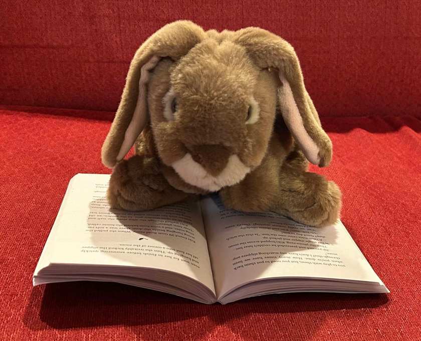 Caramel is reading Kiki's Delivery Service, written by Eiko Kadono and translated into English by Emily Balistrieri.