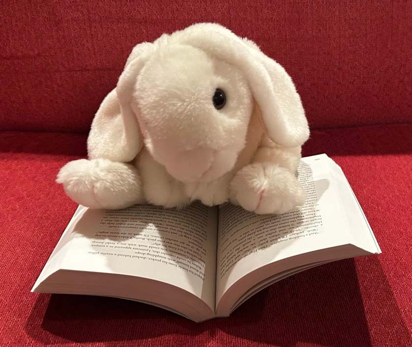 Marshmallow is reading The Ballad of Songbirds and Snakes by Suzanne Collins.