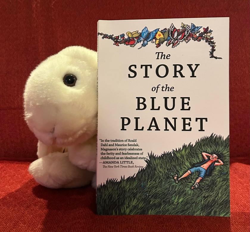 Marshmallow reviews The Story of the Blue Planet by Andri Snær Magnason.