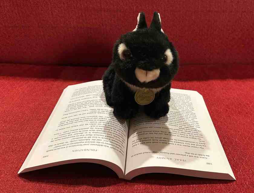 Midnight is reading Foundation by Isaac Asimov.