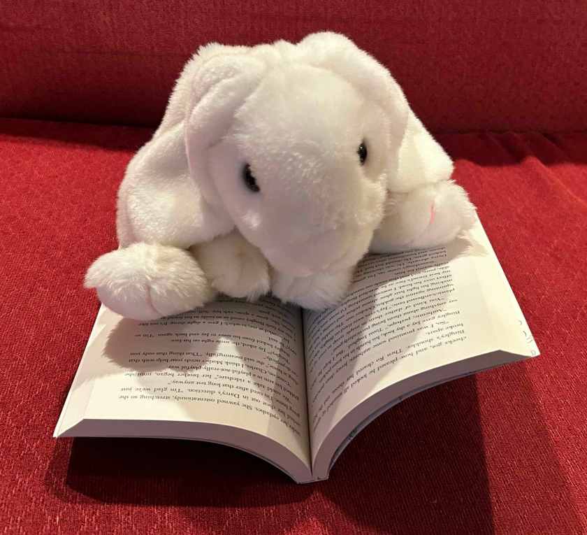 Marshmallow is reading Debating Darcy by Sayantani DasGupta.