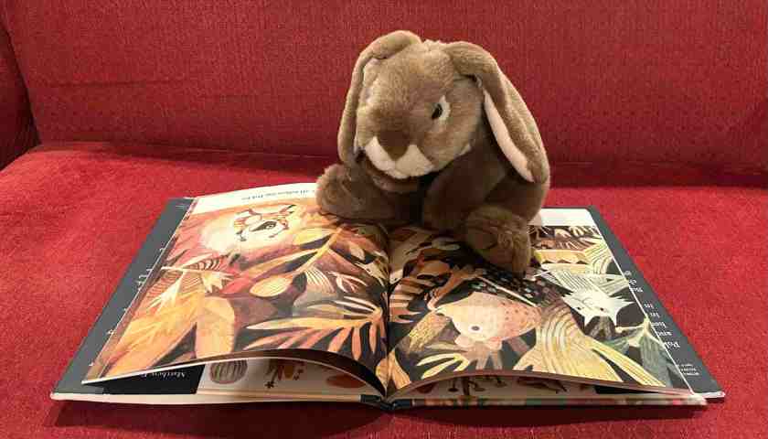 Caramel is reading Pokko and the Drum by Matthew Forsythe.