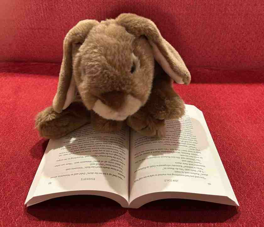 Caramel is reading Redshirts by John Scalzi.