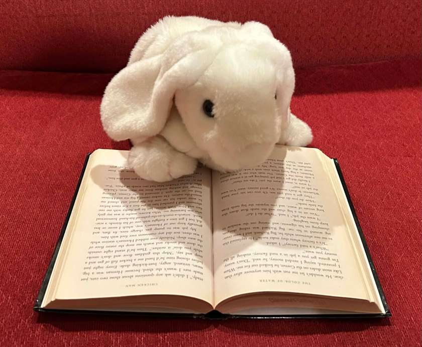 Marshmallow is reading The Color of Water: A Black Man's Tribute to His White Mother by James McBride.