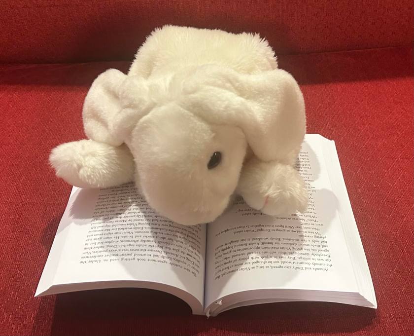 Marshmallow is reading The Good Mother Test by Michael R. French.