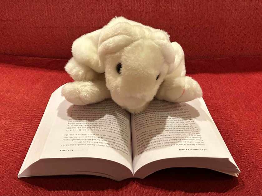 Marshmallow is reading The Toll by Neal Shusterman.