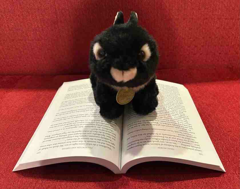 Midnight is reading Foundation and Empire by Isaac Asimov.