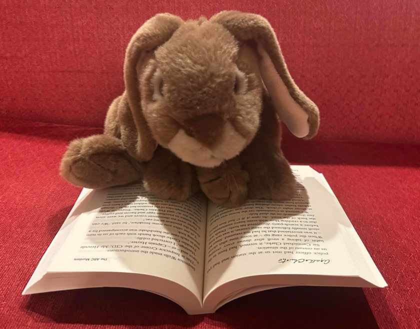 Caramel is reading The ABC Murders by Agatha Christie. 