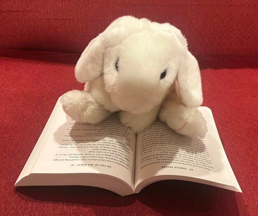 Marshmallow is reading The Fall of Iris Henley by Jennifer Graham.