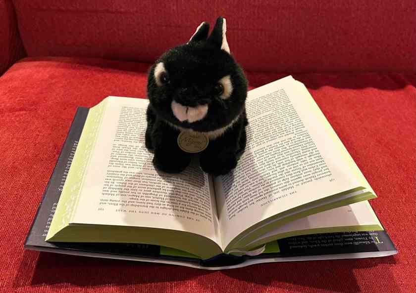 Midnight is reading The Silmarillion by J.R.R. Tolkien.