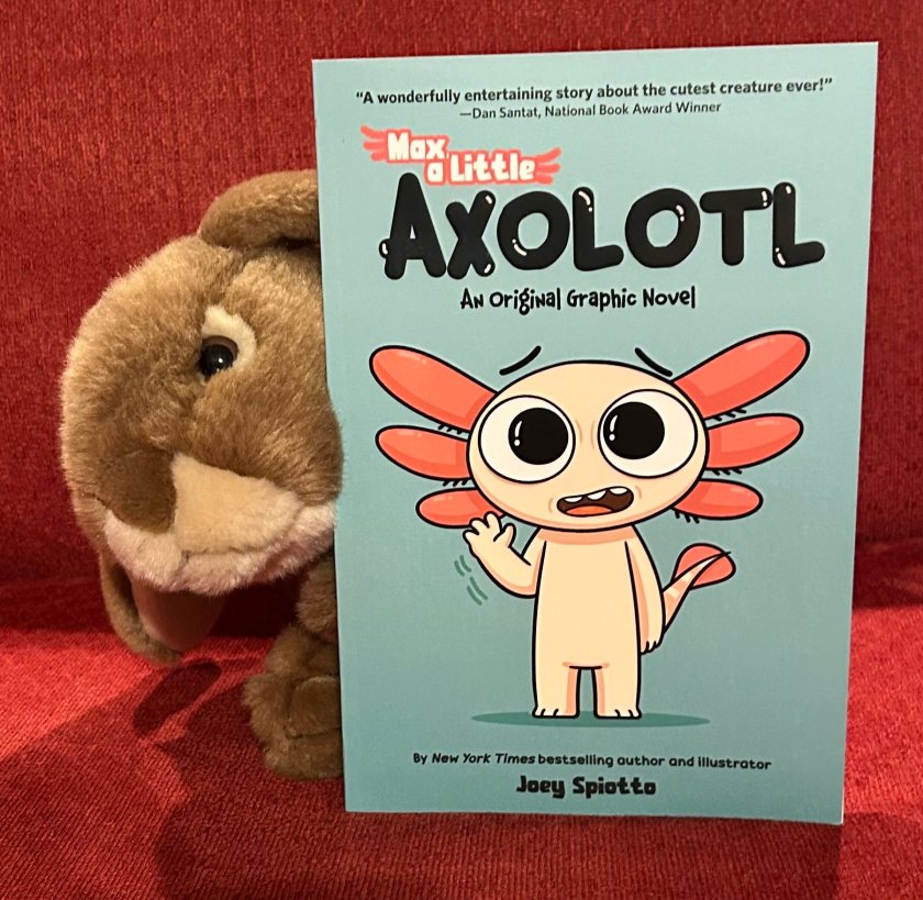 Caramel enjoyed reading Max, a Little Axolotl by Joey Spiotto and recommends this to other young bunnies who love animals.