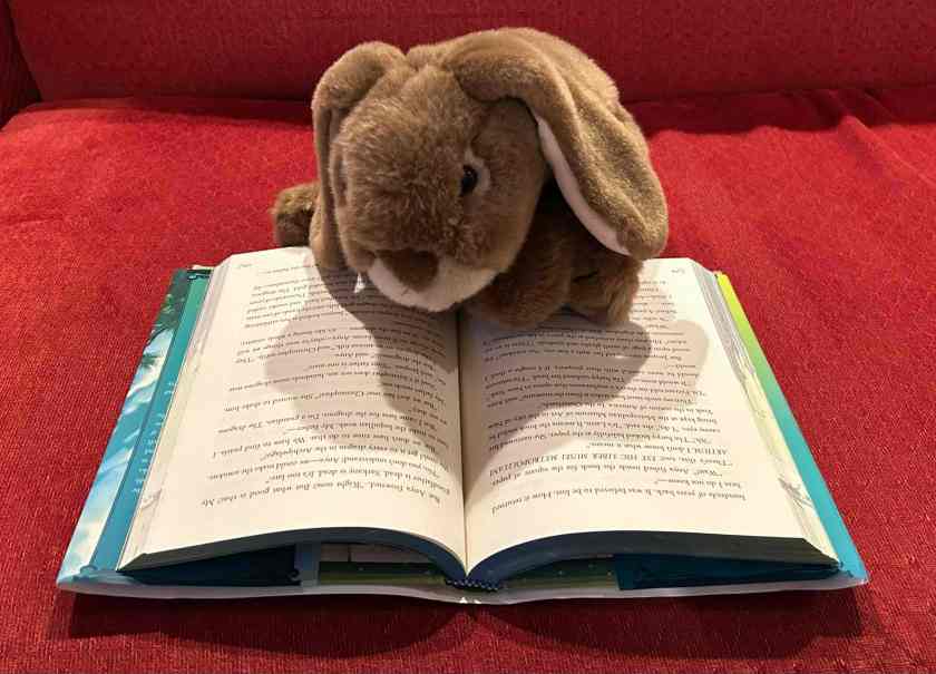 Caramel is reading The Poisoned King by Katherine Rundell.