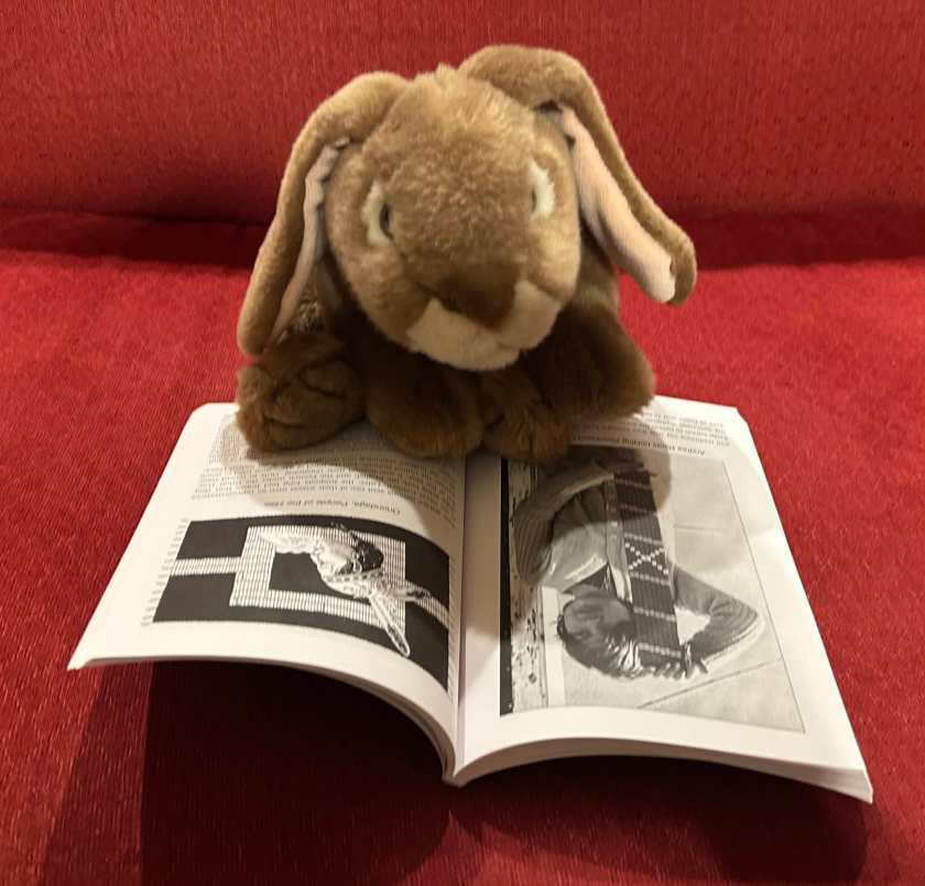 Caramel is reading Wampum Belts of the Iroquois by Tehanetorens.