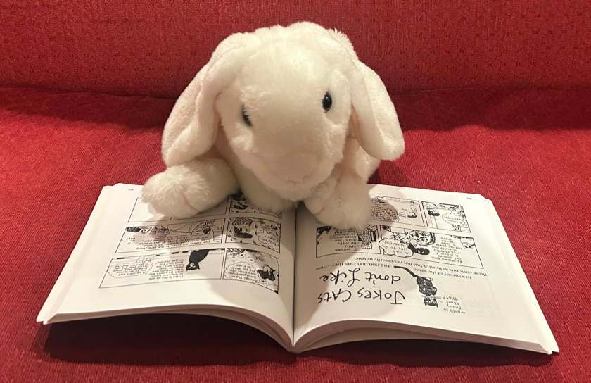Marshmallow is reading Everything Here is Mine: An Unhelpful Guide to Cat Behavior by Nicole Hollander.