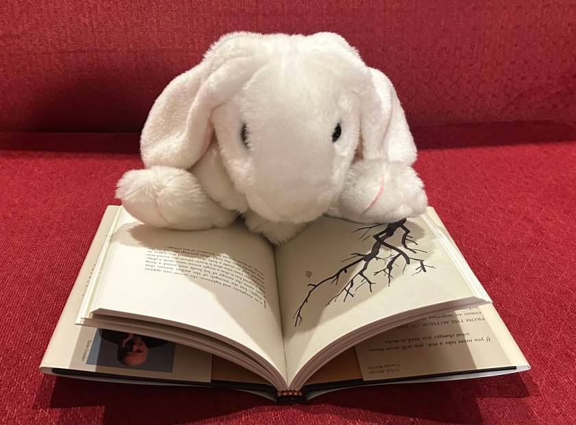 Marshmallow is reading The Archer, written by Paulo Coelho, illustrated by Christoph Niemann, and translated into English by Margaret Jull Costa. 