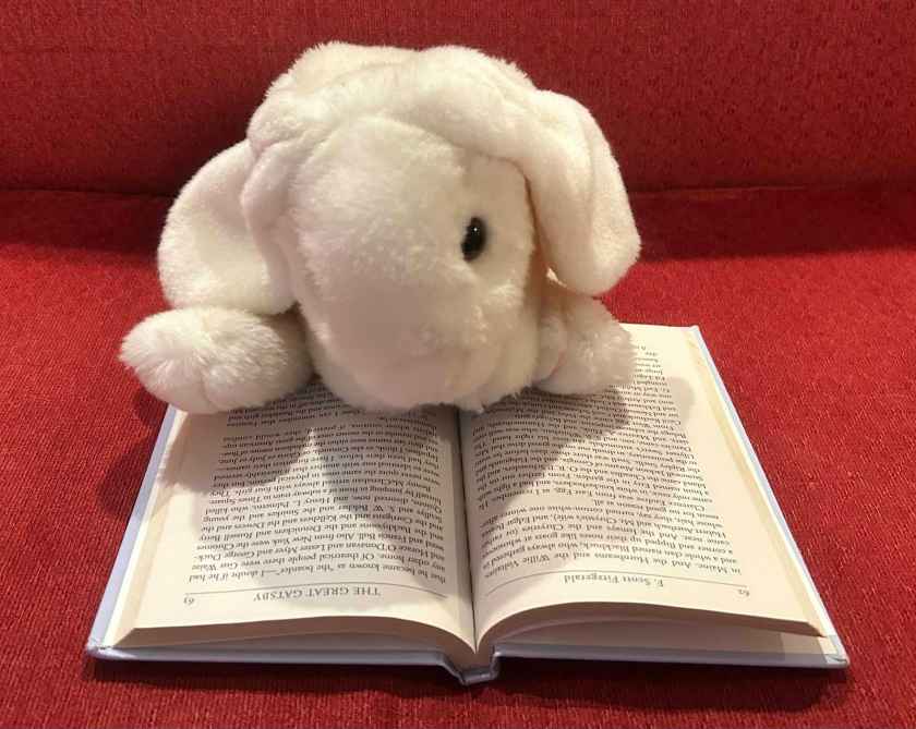Marshmallow is reading The Great Gatsby by F. Scott Fitzgerald.