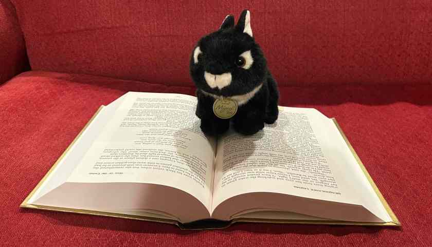 Midnight is reading The Dragonlance Legends by Margaret Weis and Tracy Hickman.