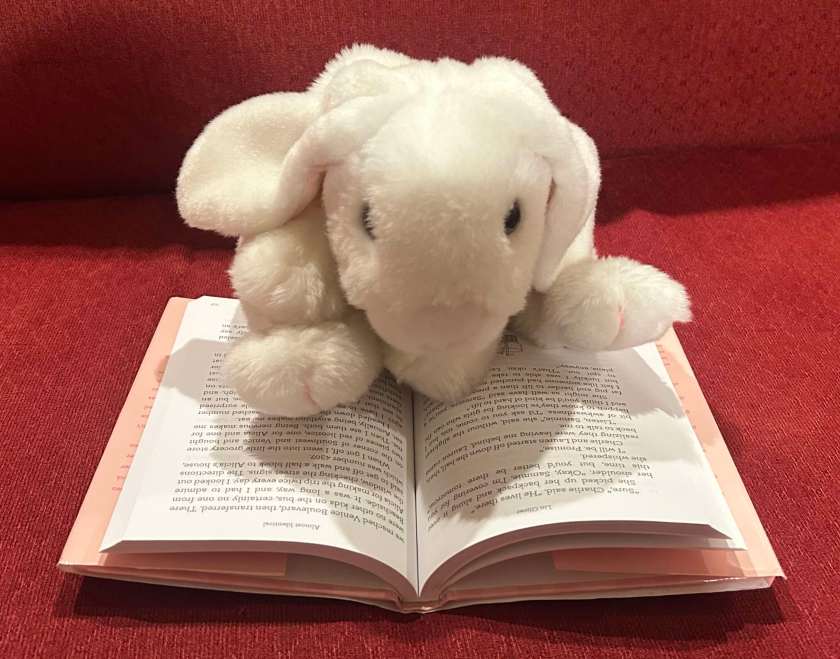 Marshmallow is reading Almost Identical by Lin Oliver.