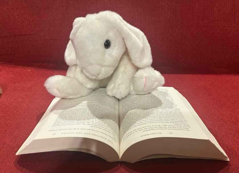 Marshmallow is reading The Ministry for the Future by Kim Stanley Robinson.