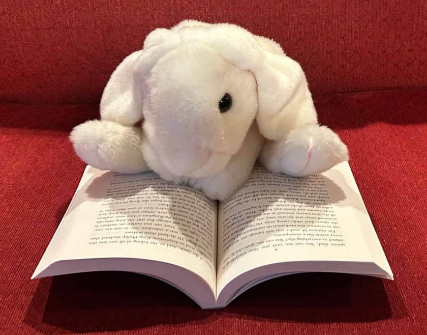 Marshmallow is reading The Tale of Despereaux by Kate DiCamillo.