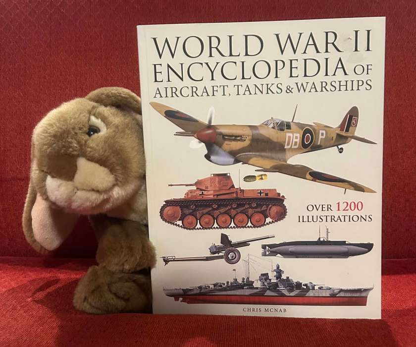 Caramel reviews World War II Encyclopedia of Aircraft, Tanks, and Warships by Chris McNab.