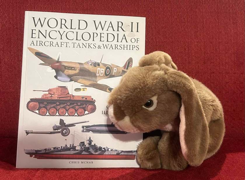 Caramel enjoyed reading World War II Encyclopedia of Aircraft, Tanks, and Warships by Chris McNab and learning so much more!